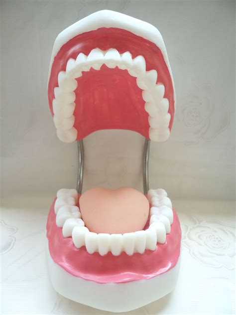牙齒代表什麼 造小人